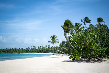 Playa Las Terrenas, Samana, República Dominicana © robert