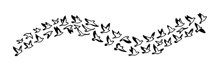 Flock of birds flying in a wavy formation simple vector illustration for nature and travel themes isolated on white © Irhama Iqbal 