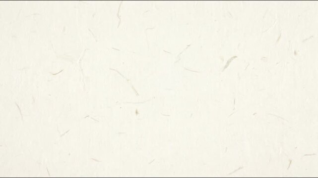 Off white paper texture background with subtle fibers and grain White crumpled paper stop motion background texture.  Seamless looping in HD