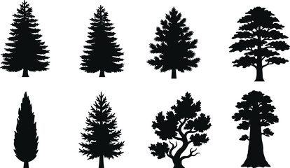 Fototapeta premium Collection of tree silhouette vectors featuring coniferous, broadleaf, twisted trunk, and rounded crown species