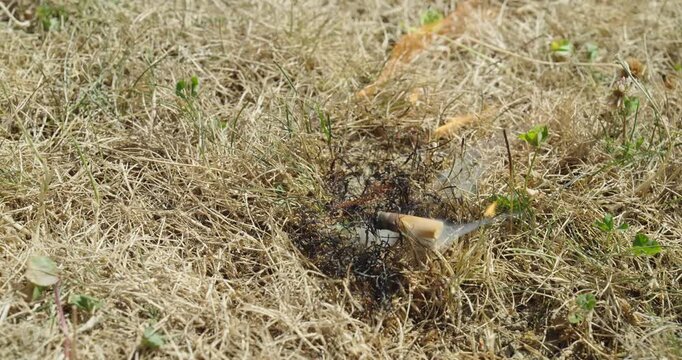 Burning cigarette butt igniting dry grass, demonstrating wildfire risk caused by careless smoking during drought conditions.