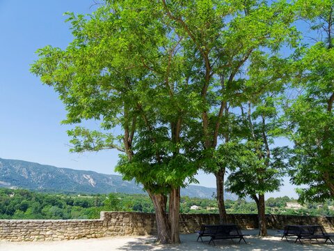 M&eacute;nerbes on a rocky spur in Vaucluse.. Magnificent church square shaded by tall trees with views of the Luberon mountains and the verdant state forest.