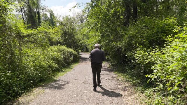 Elderly man with a newspaper walking down a sunlit path surrounded by lush green foliage showcasing healthy aging and active lifestyle
