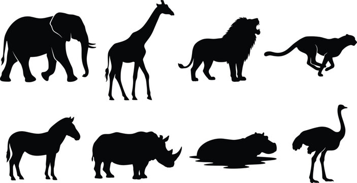 Here is the requested metadata based on the provided image (image_444e3e.png).