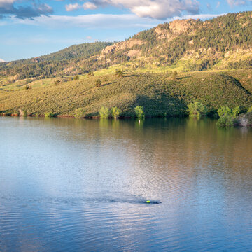 open water swimmer with a swim buoy on a calm mountain lake, summer morning workout - Horsetooth Reservoir in northern Colorado