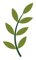 Fototapeta premium Minimalist botanical sprig with elongated leaves on a slender stem in flat solid colors isolated on white background, botanical design concept