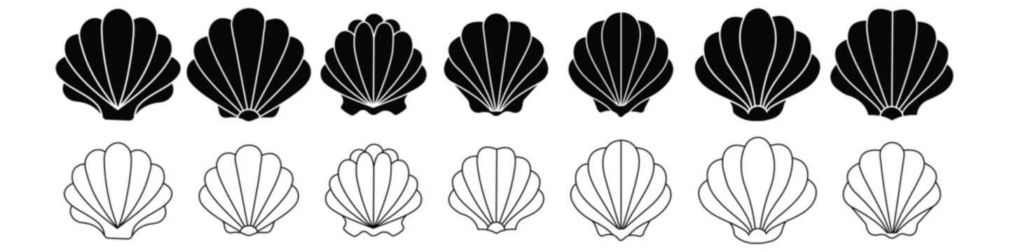 Sea shell icon. Set of pearl shell icons. Vector illustration. Shell vector icons. Black seashell icons. 
