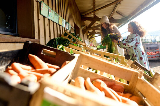 mom with daughter on a vegetable market