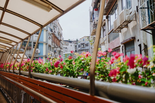Flower-Lined Pedestrian Bridge in Dense Urban Neighborhood