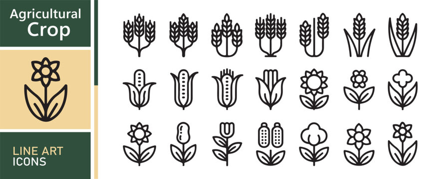 https://chatgpt.com/c/6a5530c6-b64c-83e8-842e-21284f0d3cdf#:~:text=Premium%20Agricultural%20Crop%20Line%20Art%20Collection%20with%20Minimal%20Grain%20and%20Farm%20Plant%20Icons