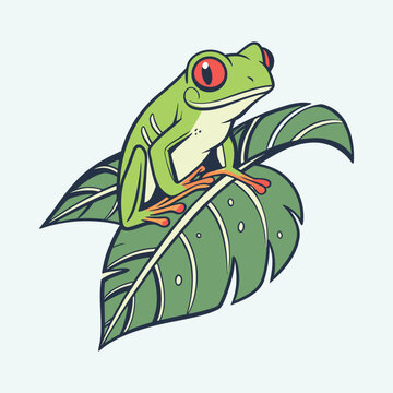 Vibrant red eyed tree frog perched on large green tropical leaf isolated on blue backdrop.