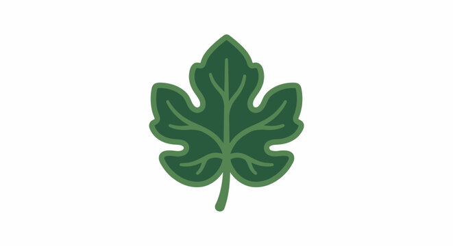 Minimalist green fig leaf vector illustration on white background.
