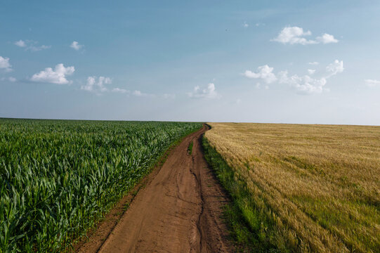 Agricultural fields