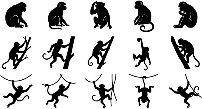 Monkey silhouette collection featuring sitting climbing and swinging primate poses fifteen black vector icons for tropical jungle wildlife nature elements.
