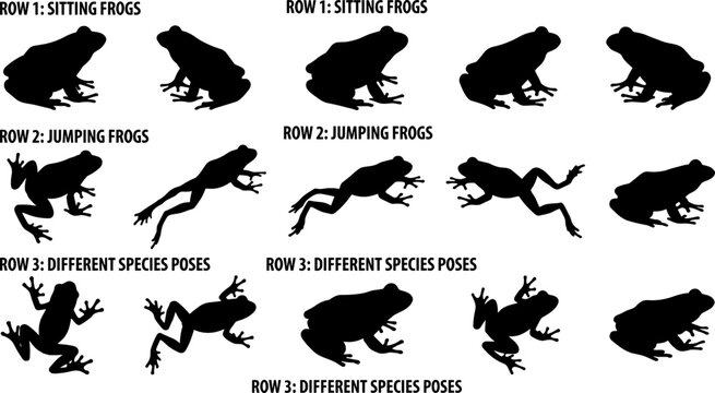 Frog silhouettes vector set, amphibian animal icons, black toad shapes, jumping sitting poses, nature wildlife graphics, aquatic pond species collection.
