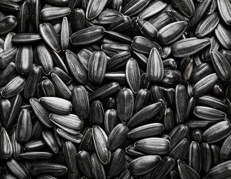 Roasted sunflower seeds, top view fill frame. AI