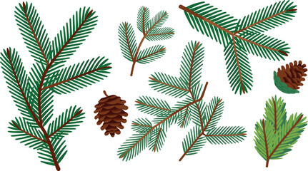Pine branches and fir tree twigs with brown pinecones elements set isolated on a white background vector © tuzam