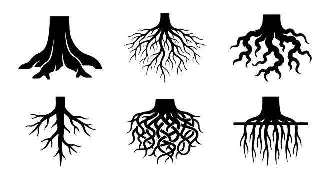 Diverse Tree Root Systems Vector Icons, Organic Growth Patterns, Plant Foundation and Structure, Natural Network Designs