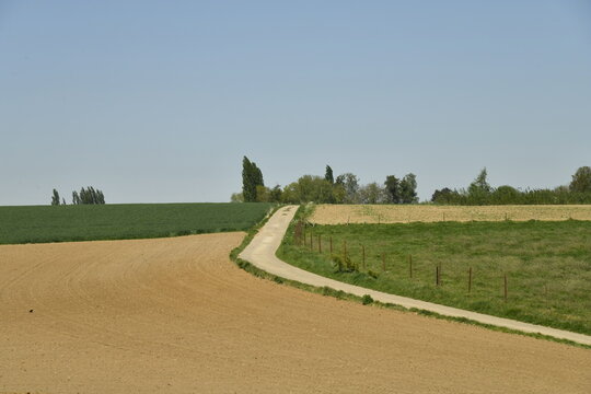 Route de campagne longeant un champ &agrave; peine sem&eacute; &agrave; la Bruy&egrave;re (Namur)