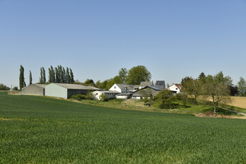 L'un des hameaux composé de plusieurs fermes à la Bruyère (Namur) © Photocolorsteph