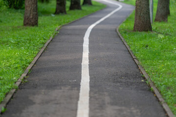 Obraz premium Curved asphalt park path with white center line, trimmed grass borders, tall trees, soft daylight, shallow focus, and calm outdoor setting for walking, jogging, and leisure
