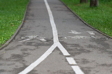 Obraz premium Worn park pathway with white split lane marking dividing route through green landscape, showing damp asphalt texture, grassy banks, trees, and soft outdoor perspective