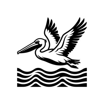 Black and white pelican flying over water.