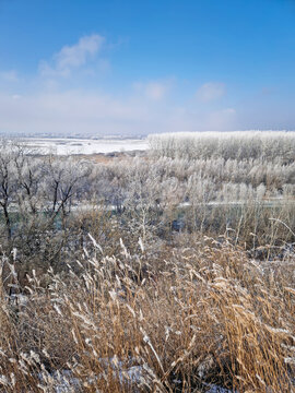 A vast winter landscape features frost-covered trees and a frozen river valley under a pale sky. Dried weeds in the foreground sway gently, their stalks dusted with rime ice. Serene, chilly atmosphere