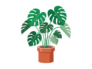 Illustration of a Monstera Deliciosa houseplant in a brown terracotta clay pot on a white background. © Feby