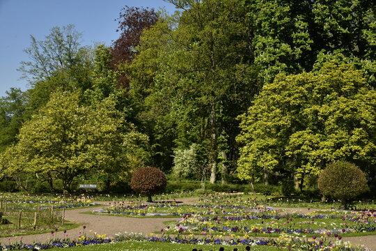 V&eacute;g&eacute;tation luxuriante avec parterres de fleurs au printemps au parc de la Dodaine &agrave; Nivelles 