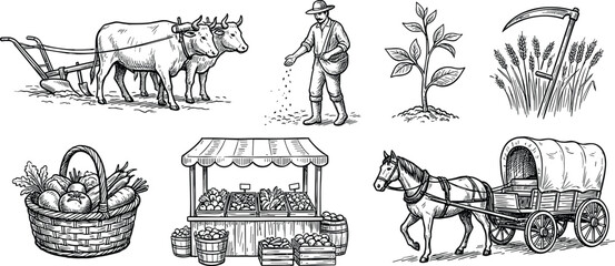 Hand drawn illustration set of traditional farming, agriculture, harvesting crops, local market stall, and horse-drawn wagon transportation. © ARNIKA ISLAM