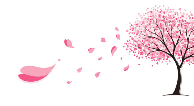 Elegant pink cherry blossom tree with delicate petals caught in a gust of wind blowing across the white background.