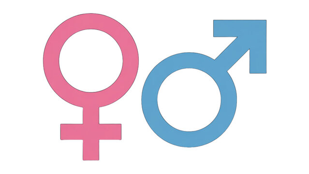 Simple female and male gender symbols icon set Vector