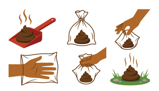 Dog poop cleaning instruction vector illustration set. Pet waste disposal steps including plastic bags, scooper, human hand picking turd and grass hygiene elements.