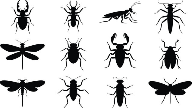 Insect silhouettes flat vector illustration pack. Twelve unique dark beetle, dragonfly, cricket, and moth shapes present a crawling forest wildlife bug collection.