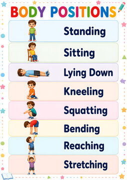 Educational poster showing human body positions with labeled of standing, sitting, lying down, kneeling, squatting