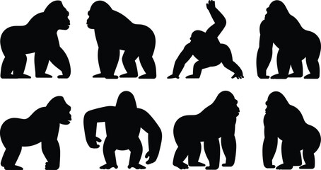 Gorilla silhouettes flat vector illustration set. Eight distinct black ape poses showing knuckle-walking, standing, and climbing behaviors form a wild jungle primate collection. © Olivia