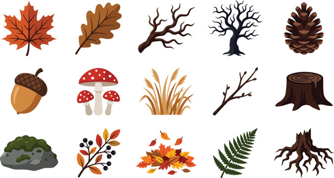 Colorful flat vector illustration set featuring various autumn woodland forest elements like leaves mushrooms trees and organic plant life icons
