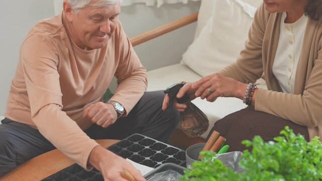 Elderly husband and wife potting basil seedlings in a bright living space