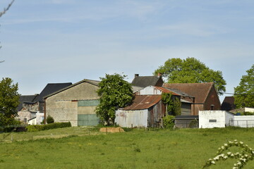 Obraz premium Façades des maisons et fermes traditionnelles longeant les champs à Écaussinnes d'Enghien (Soignies)