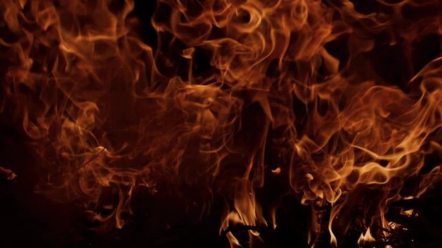 Fire flames with high contrast. Fire burning realistic combustion. Fire blazing visual power. Fire abstract overlay texture.