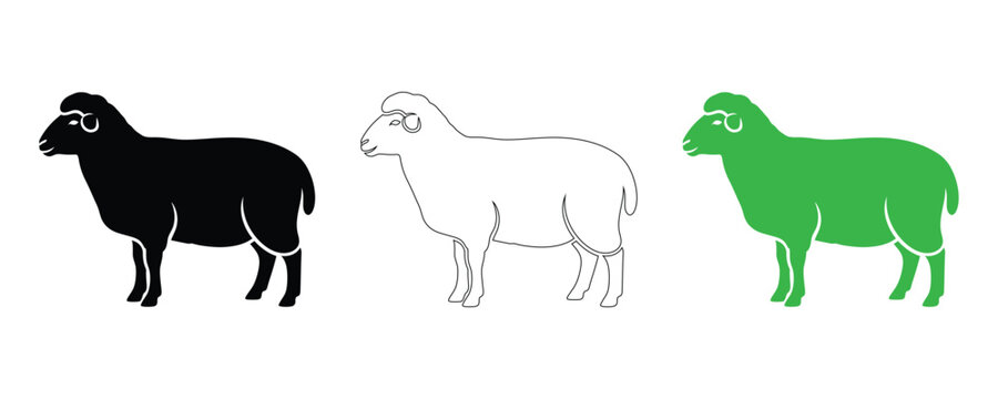 Sheep silhouette set black outline and green vector illustrations for farm animal graphics