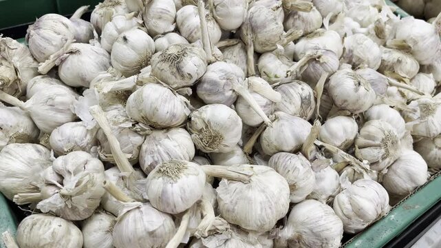 A large pile of raw organic garlic bulbs with dried stems at local grocery market
