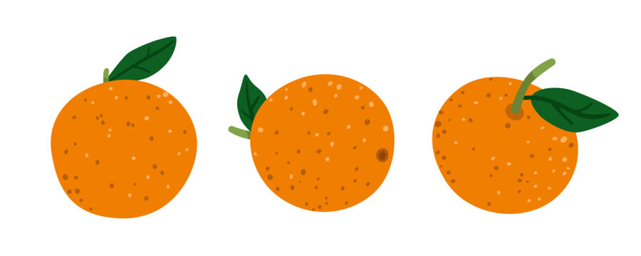 Cute collection of oranges isolated on white background. Fresh organic citrus fruit for harvest, autumn and healthy food designs. Simple botanical set. Flat vector illustration.