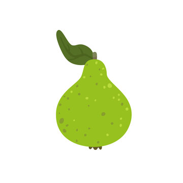 Cute green pear isolated on white background. Fresh organic fruit for harvest, autumn and healthy food designs. Simple botanical element. Flat vector illustration.