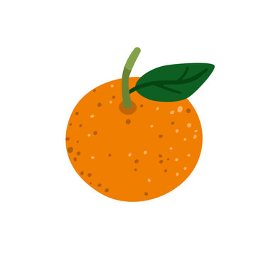 Cute orange citrus fruit isolated on white background. Fresh organic food for harvest, autumn and healthy nutrition designs. Simple botanical element. Flat vector illustration.