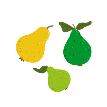 Cute collection of yellow and green pears isolated on white background. Fresh organic fruit for harvest, autumn and healthy food projects. Flat vector illustration.