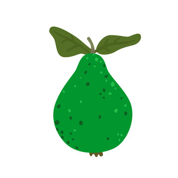 Cute dark green pear isolated on white background. Fresh organic fruit for harvest, autumn and healthy food designs. Simple botanical element. Flat vector illustration.