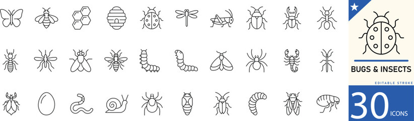 Bugs and insects line icon set. Icons for bees, ants, spiders, honey bee, ladybug, butterfly, mosquito, caterpillar. Editable stroke. Vector illustration. © mstlily