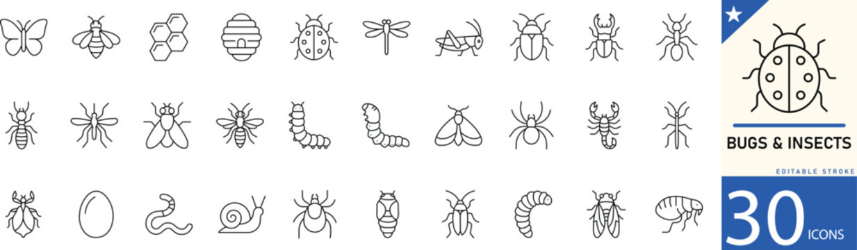 Bugs and insects line icon set. Icons for bees, ants, spiders, honey bee, ladybug, butterfly, mosquito, caterpillar. Editable stroke. Vector illustration.
